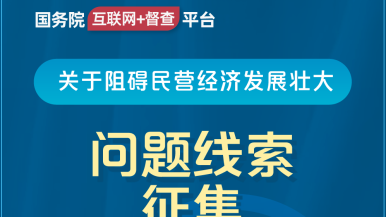 美女小穴网站国务院“互联网+督查”平台公开征集阻碍民营经济发展壮大问题线索